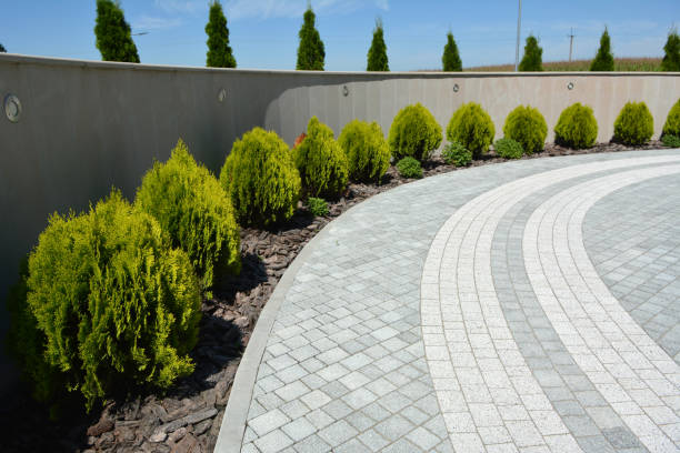 Best Interlocking Driveway Pavers  in Pikesville, MD
